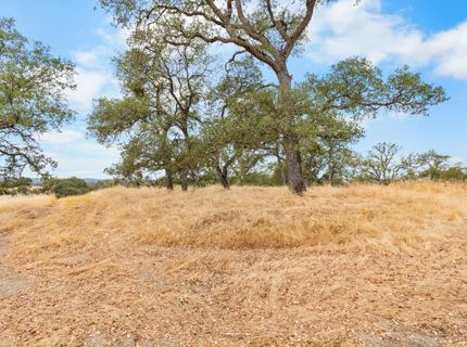 6550 Jackson Valley Rd, Ione, CA 95640 Photo