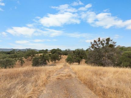 6550 Jackson Valley Rd, Ione, CA 95640 Photo
