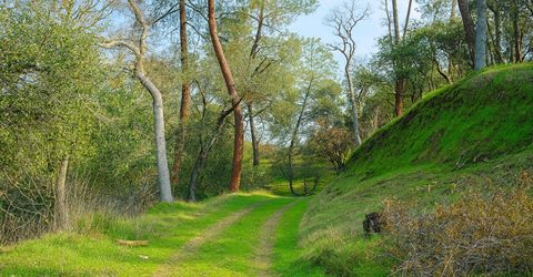 6550 Jackson Valley Rd, Ione, CA 95640 Photo
