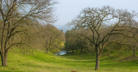 6550 Jackson Valley Rd, Ione, CA 95640 Photo