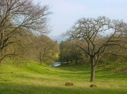 6550 Jackson Valley Rd, Ione, CA 95640 Photo