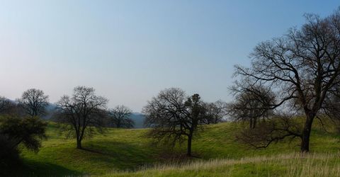 6550 Jackson Valley Rd, Ione, CA 95640 Photo