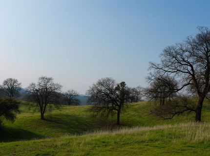 6550 Jackson Valley Rd, Ione, CA 95640 Photo