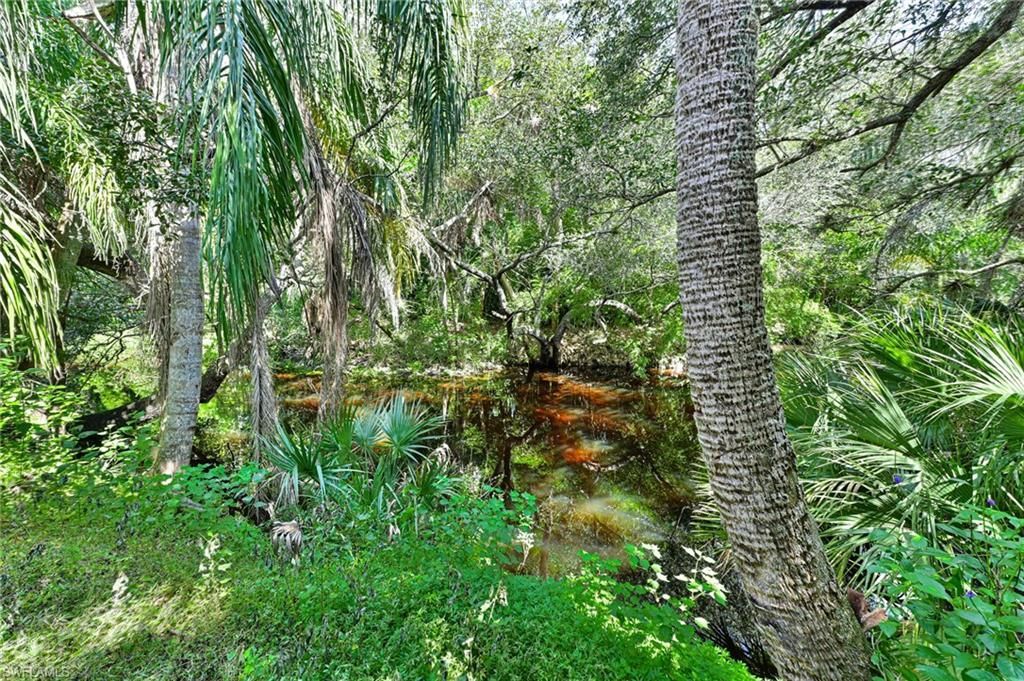 9226 Estero River Cir, Estero, FL 33928 Photo