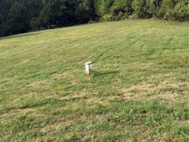 4593 County Road 15, Rayland, OH 43943 Photo 6