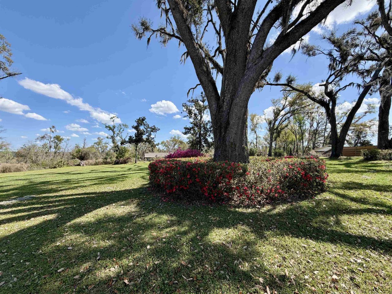 588 NW Pickle Lane, Madison, FL 32340 Photo