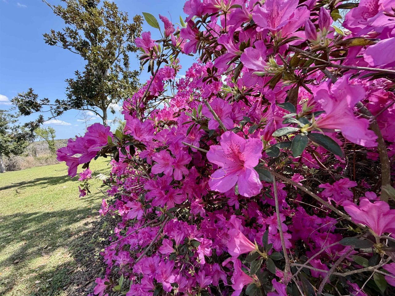 588 NW Pickle Lane, Madison, FL 32340 Photo