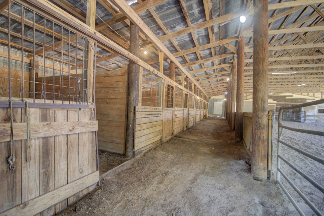 274 Campbell Road Photo 26