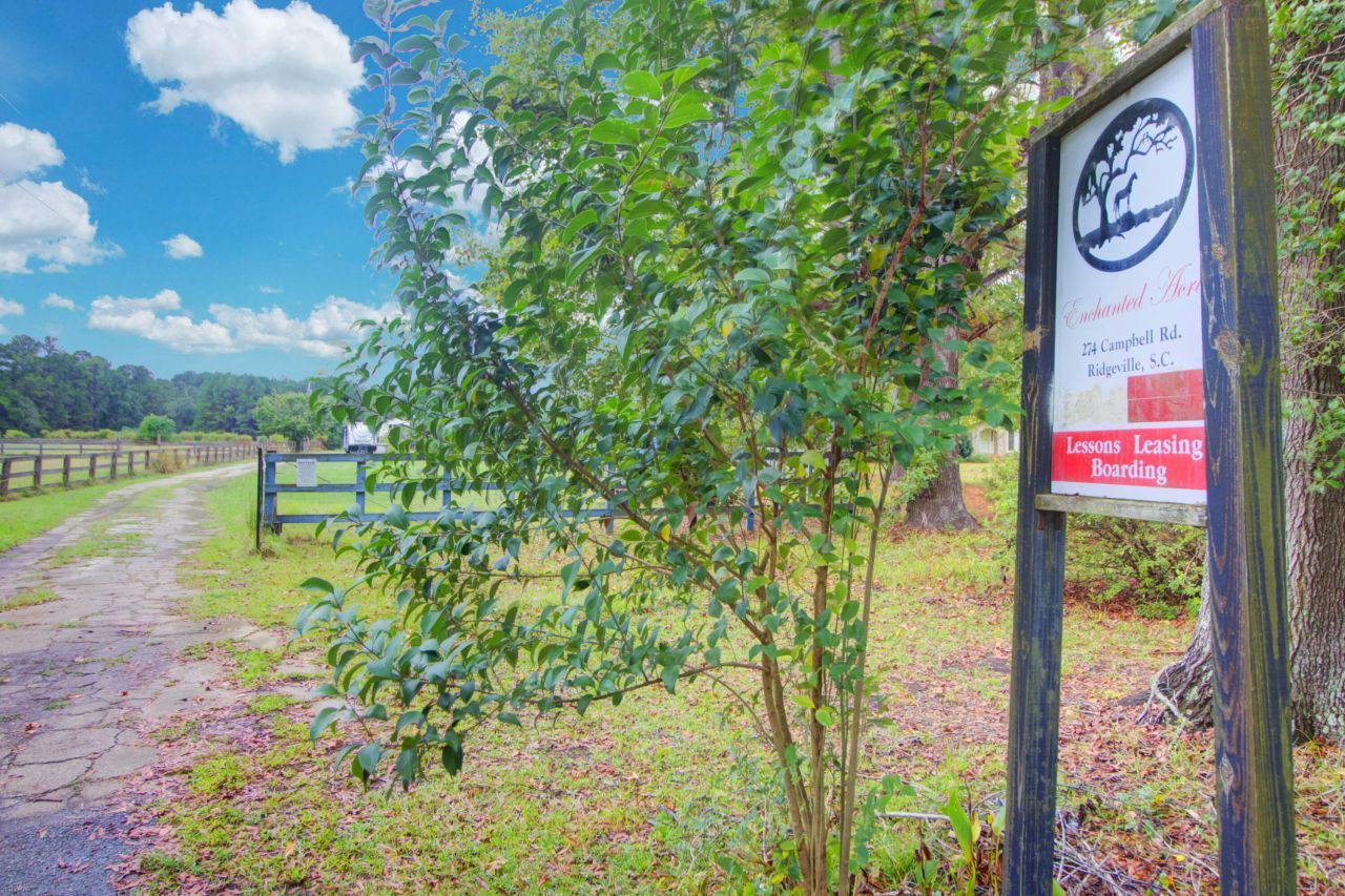 274 Campbell Road Photo 63