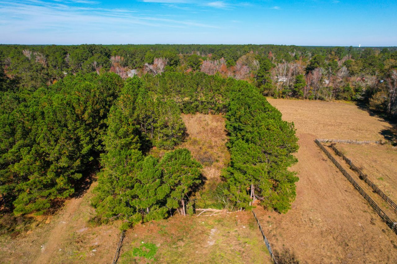 274 Campbell Road Photo 66