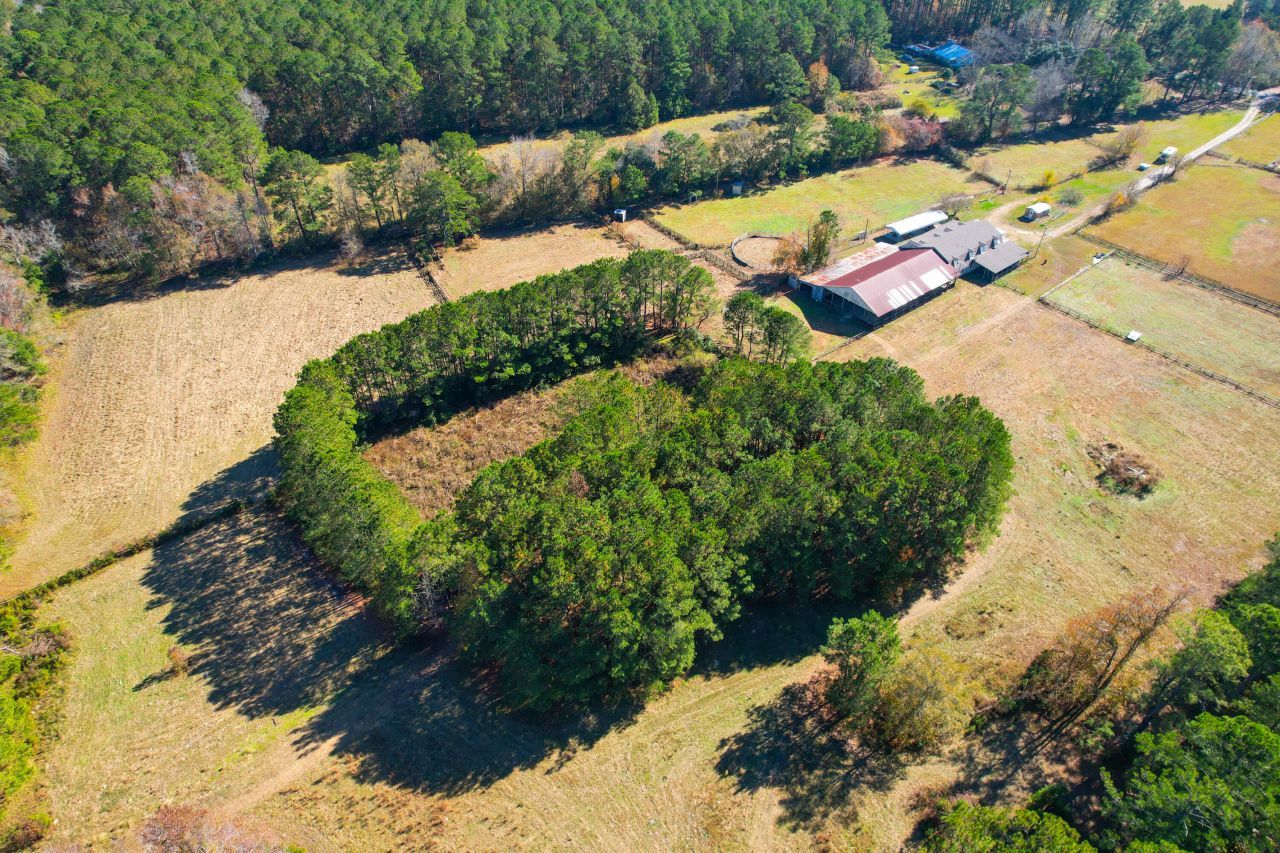 274 Campbell Road Photo 90