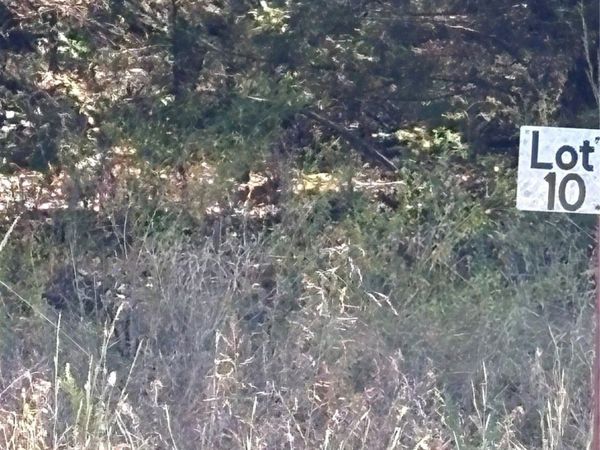 8017 W Jade , Agra, OK 74824