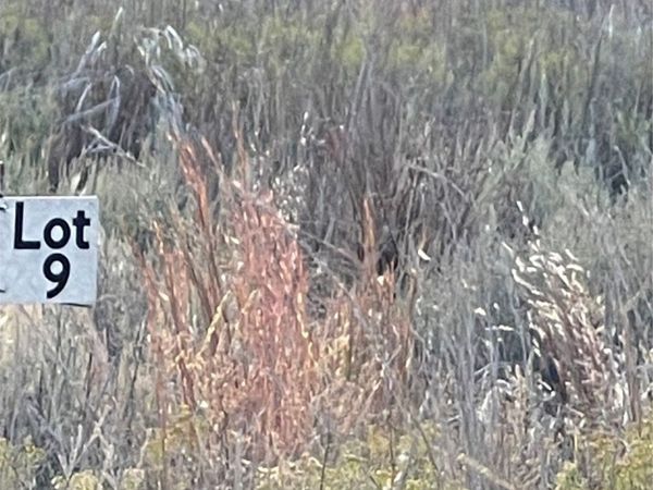 8005 W Jade , Agra, OK 74824