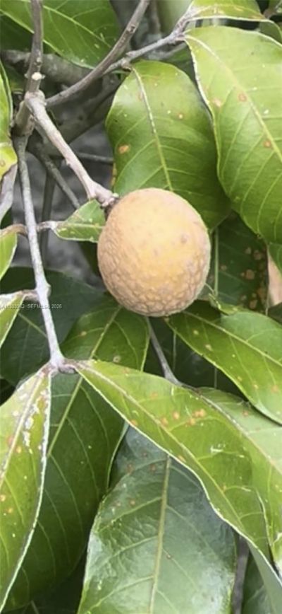 6958 NW Hartney Way, Port Saint Lucie, FL 34983 Photo