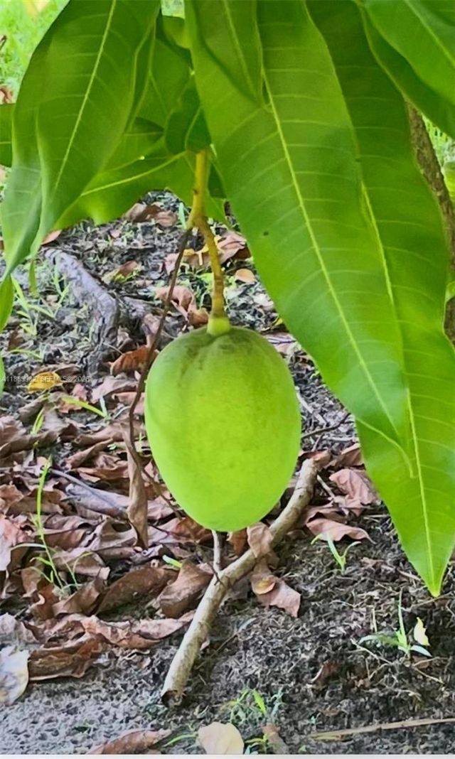 6958 NW Hartney Way, Port Saint Lucie, FL 34983 Photo