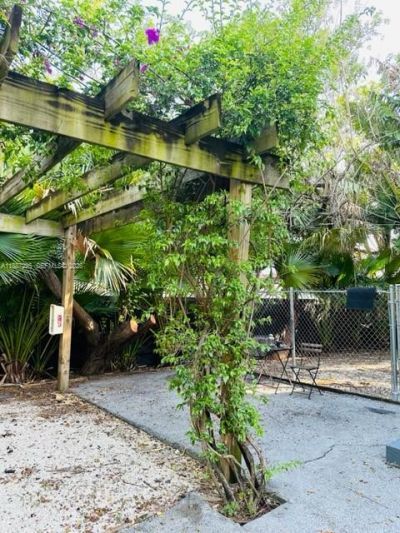 1030 NE 80th St, Unit 4, Miami, FL 33138 Photo