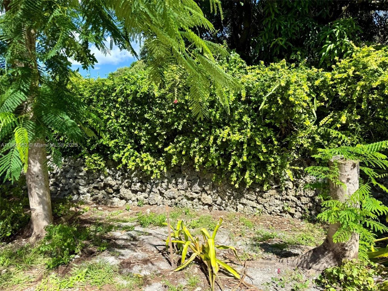 10901 NE 3rd Ave, Miami, FL 33161 Photo