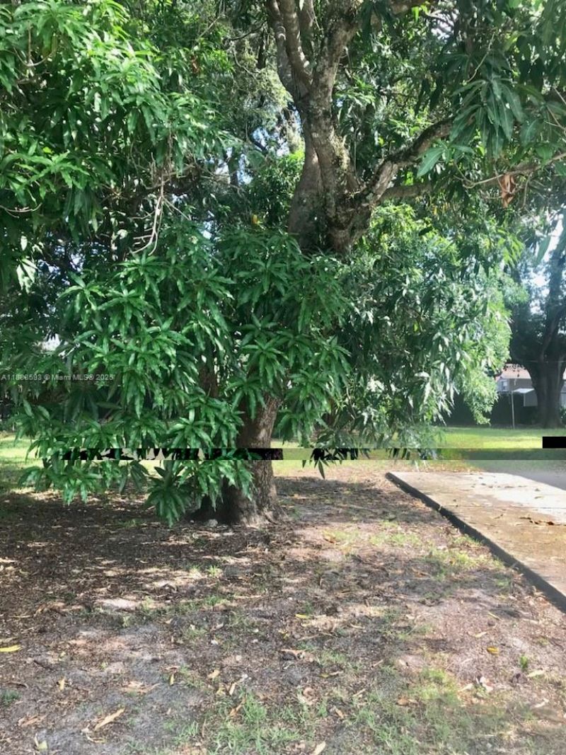 Please Call For Address, Miami, FL 33147 Photo