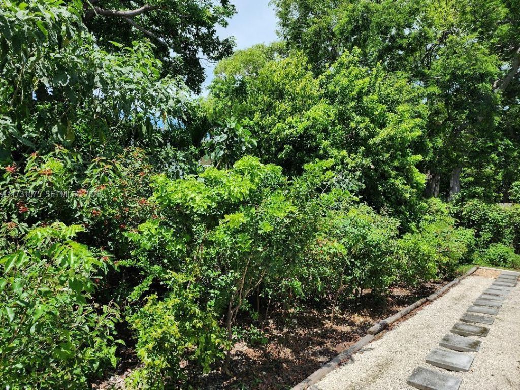 35 Bass Ave., Key Largo, FL 33037 Photo