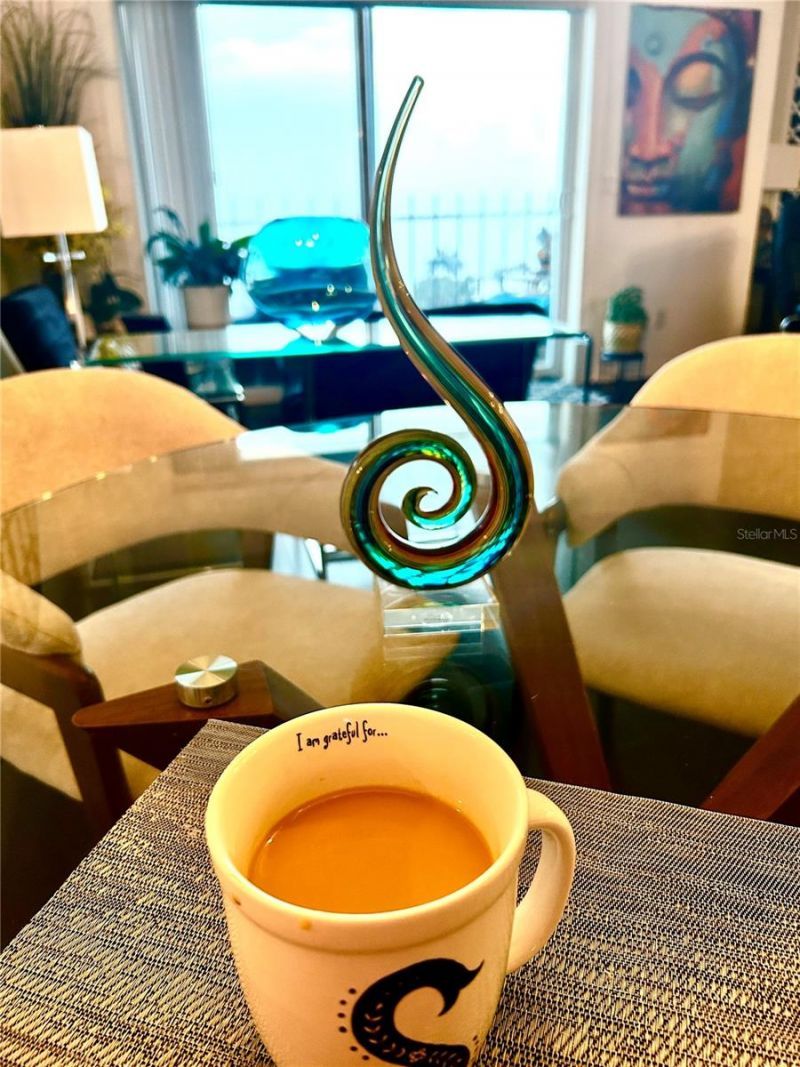 1120 N Shore Drive Ne, Unit 802, Saint Petersburg, FL 33701 Photo