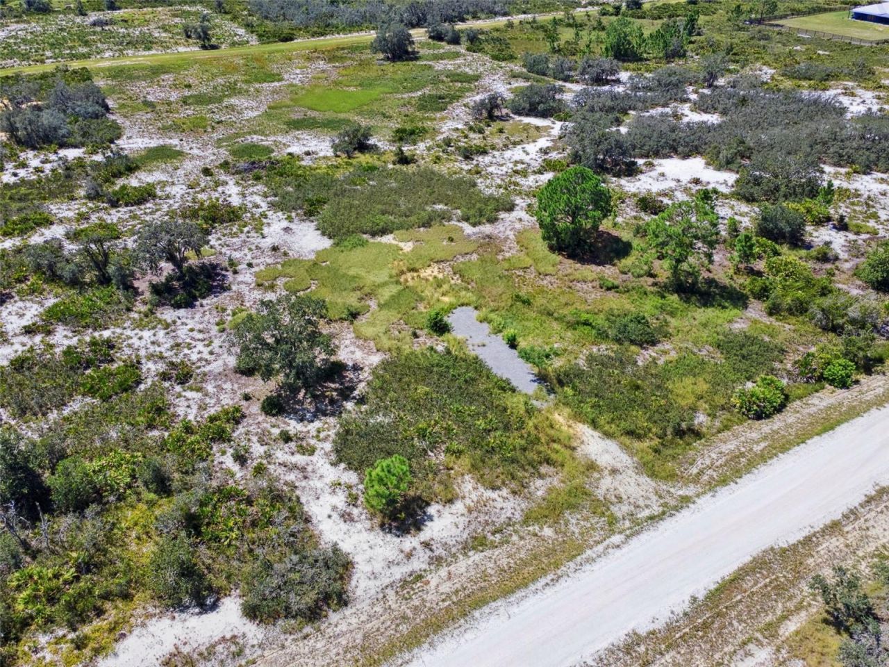 2253 W Shula Road, Avon Park, FL 33825 Photo