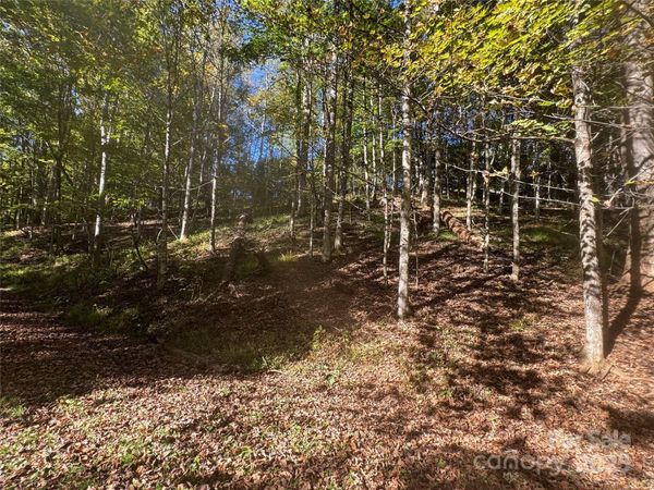 9 Susanna Cove, Mars Hill, NC 28754