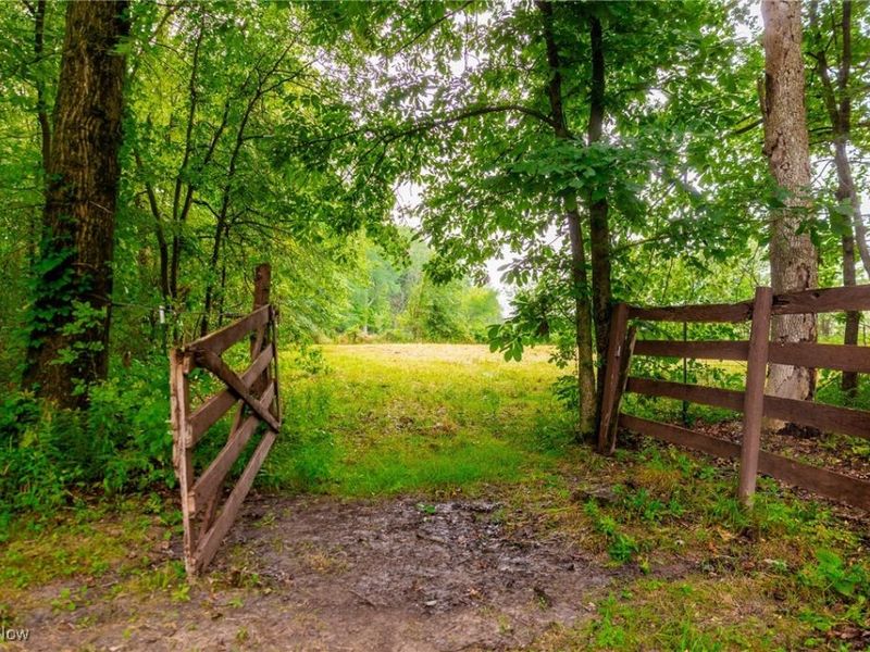 327 Township Road 350, Sullivan, OH 44880 Photo 45