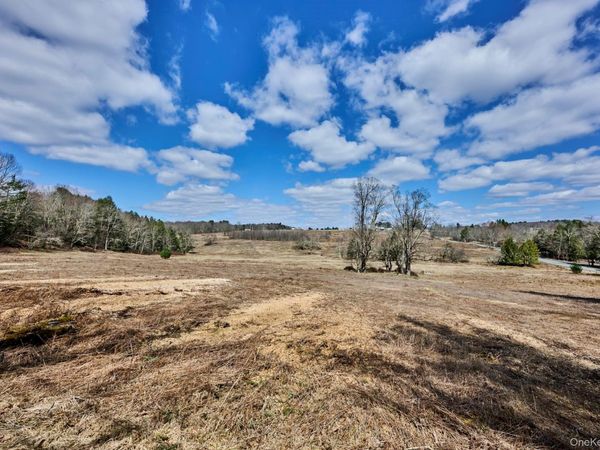 Lot 17.9 Shortcut Road, Cochecton, NY 12726