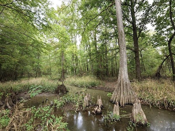 211 Fred Rogers Road, Montgomery, LA 70394