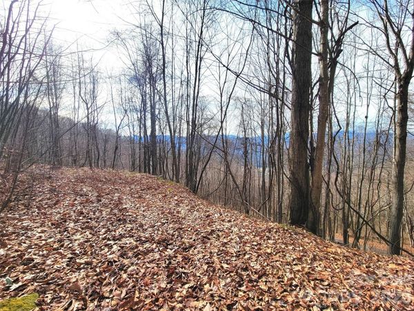 75 Rimrock Ridge, Clyde, NC 28721