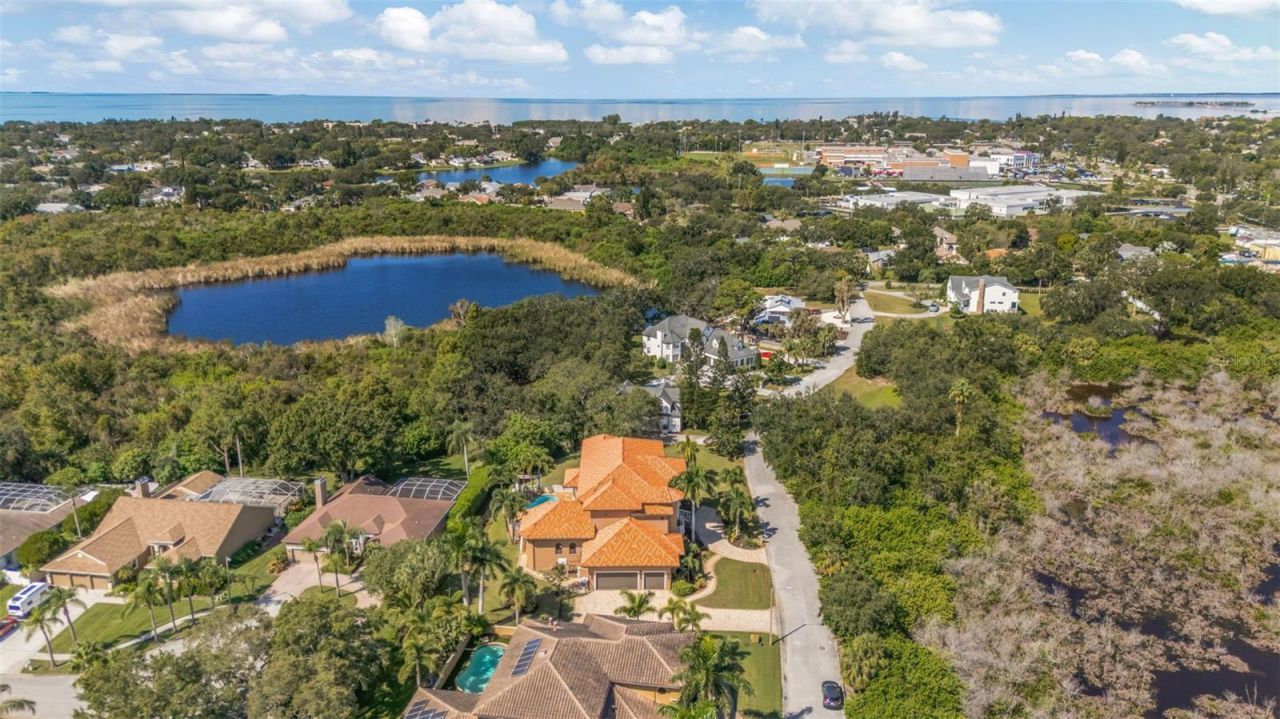 1079 Ashland Avenue, Tarpon Springs, FL 34689 Photo