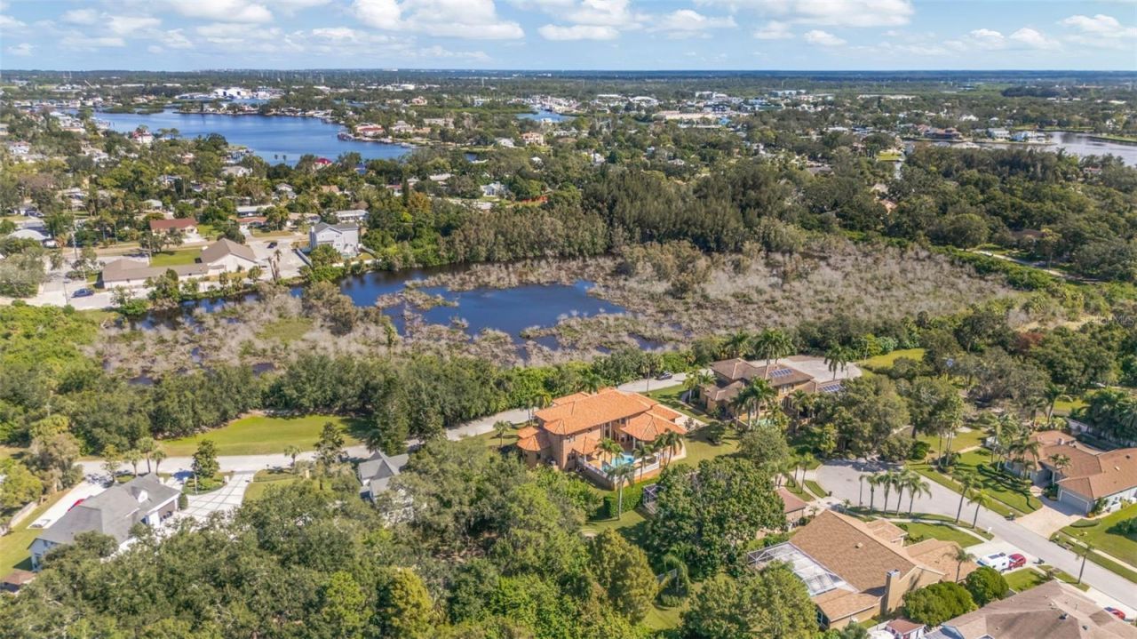 1079 Ashland Avenue, Tarpon Springs, FL 34689 Photo