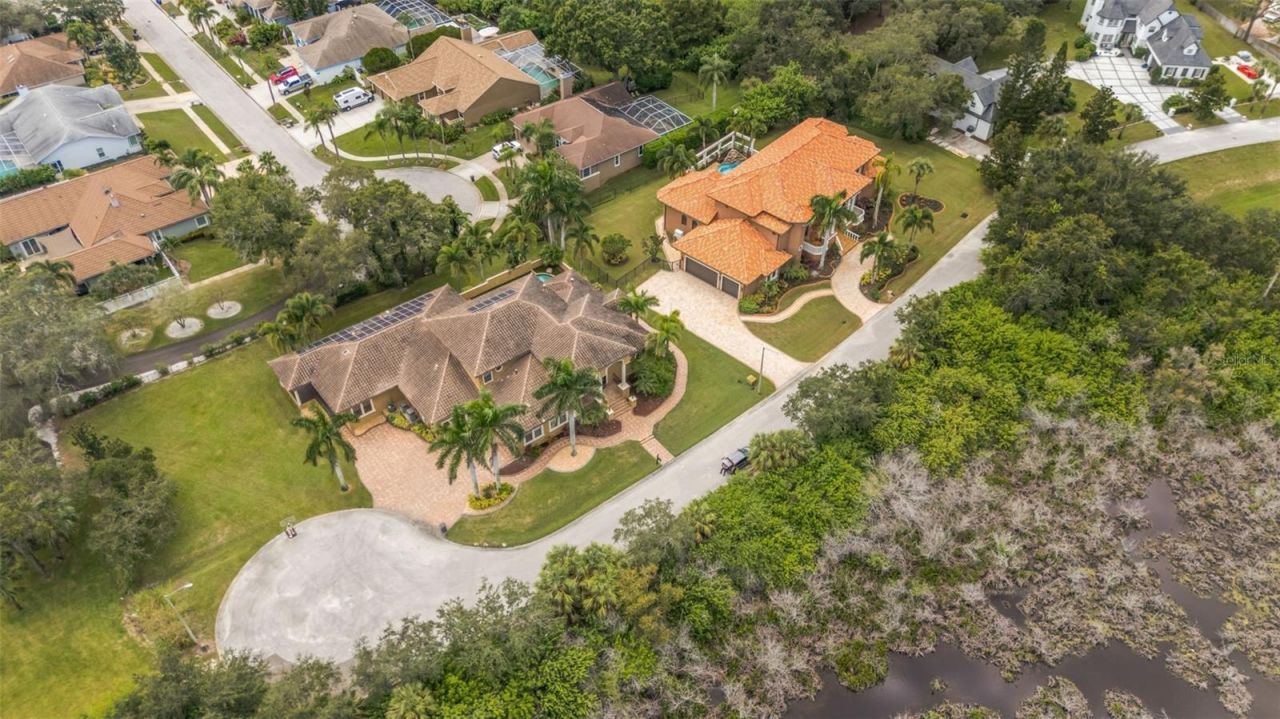 1079 Ashland Avenue, Tarpon Springs, FL 34689 Photo