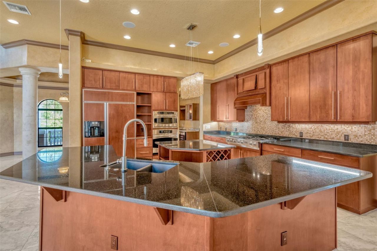 1079 Ashland Avenue, Tarpon Springs, FL 34689 Photo