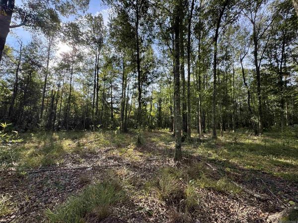 SF-13&14 La Hwy 16, Denham Springs, LA 70706