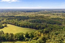 000 Schofield Pl. photo 4