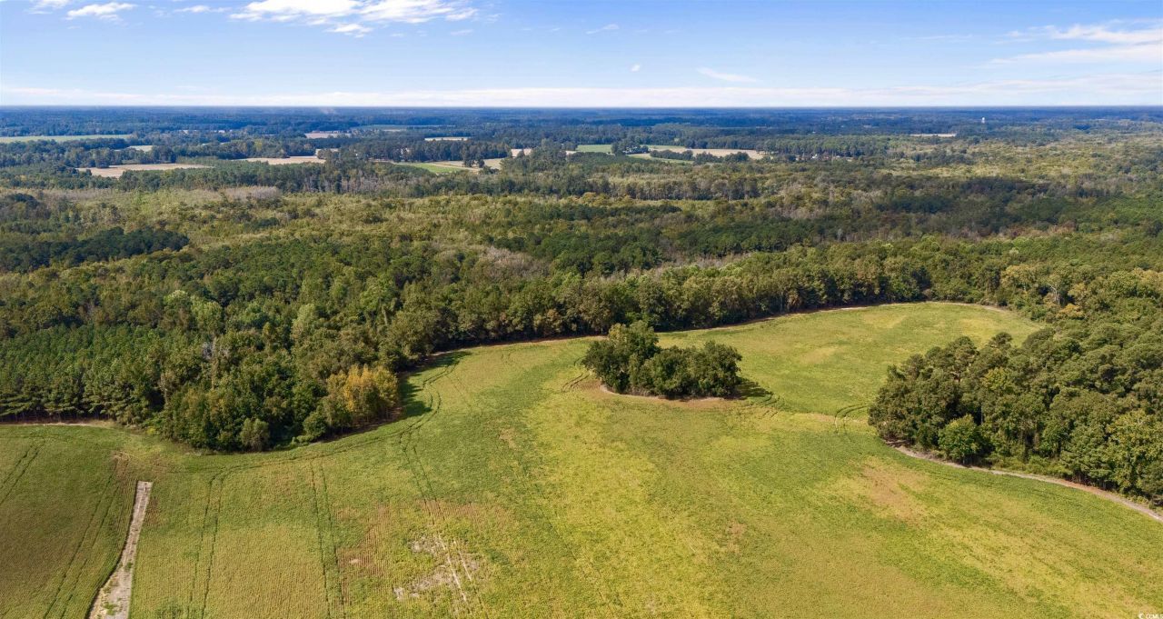 000 Schofield Pl. Photo 4