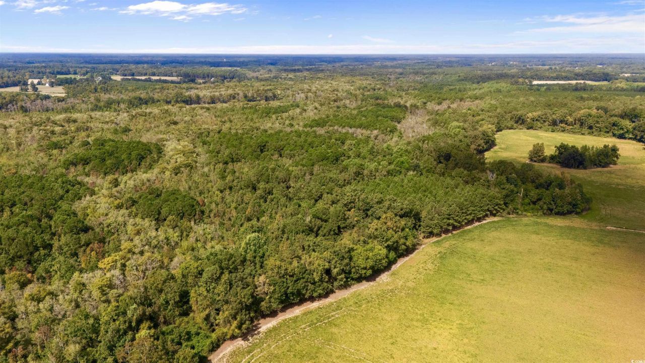 000 Schofield Pl. Photo 5