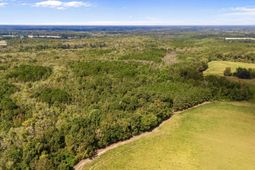 000 Schofield Pl. photo 4