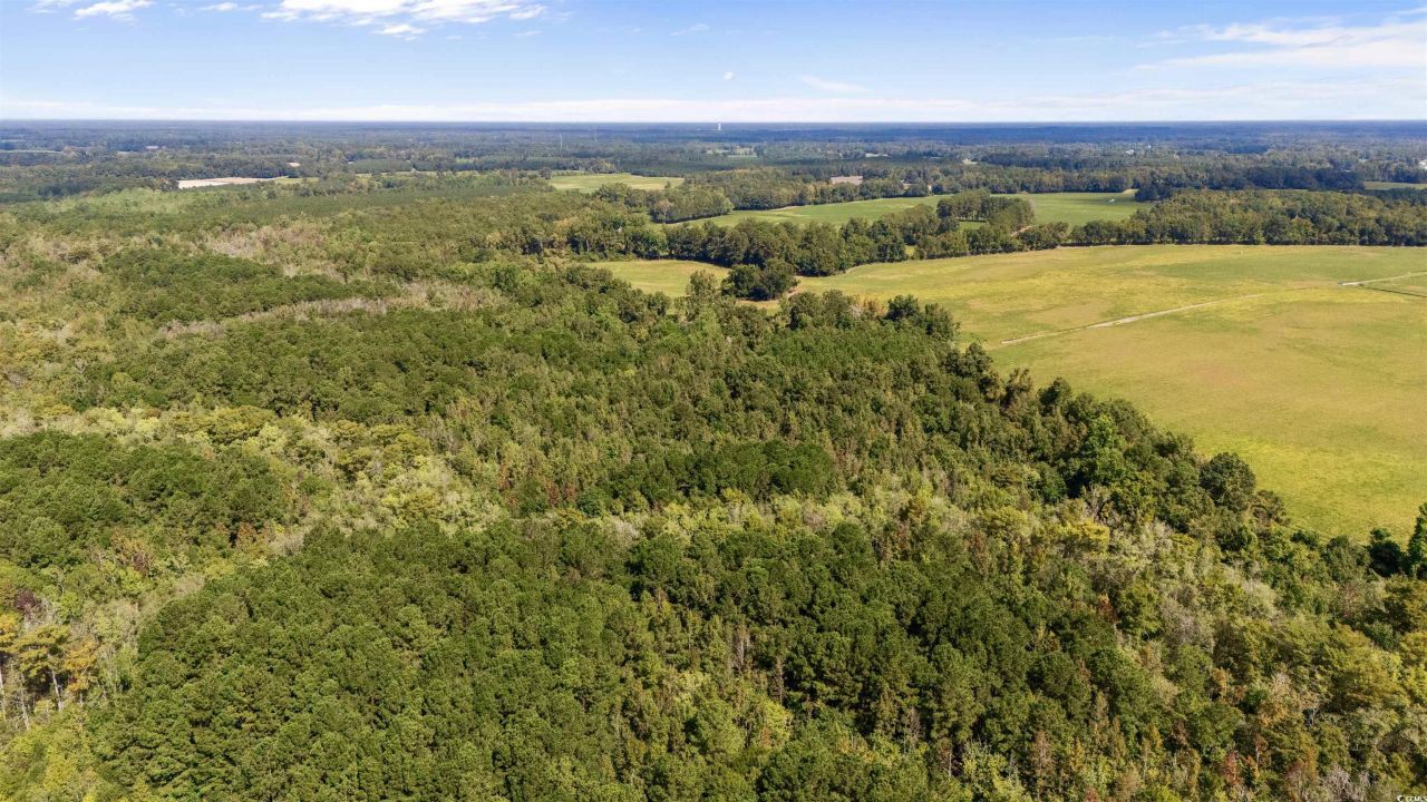 000 Schofield Pl. Photo 6