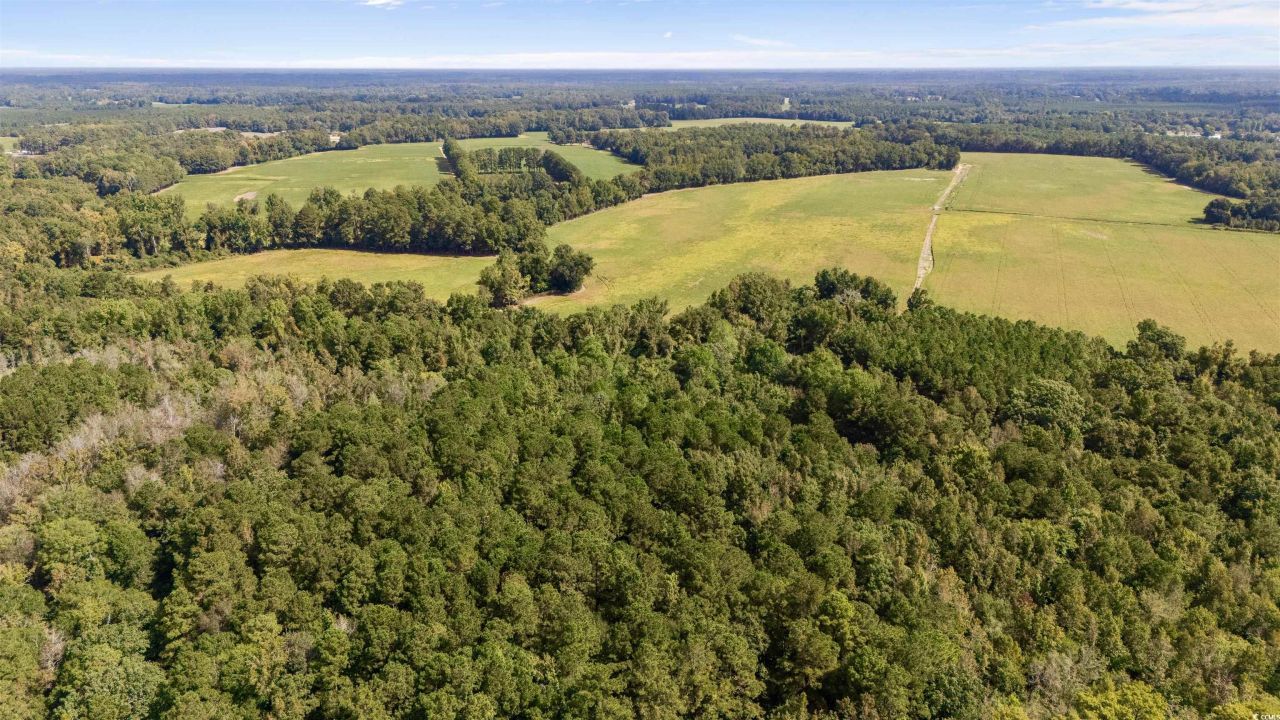 000 Schofield Pl. Photo 7