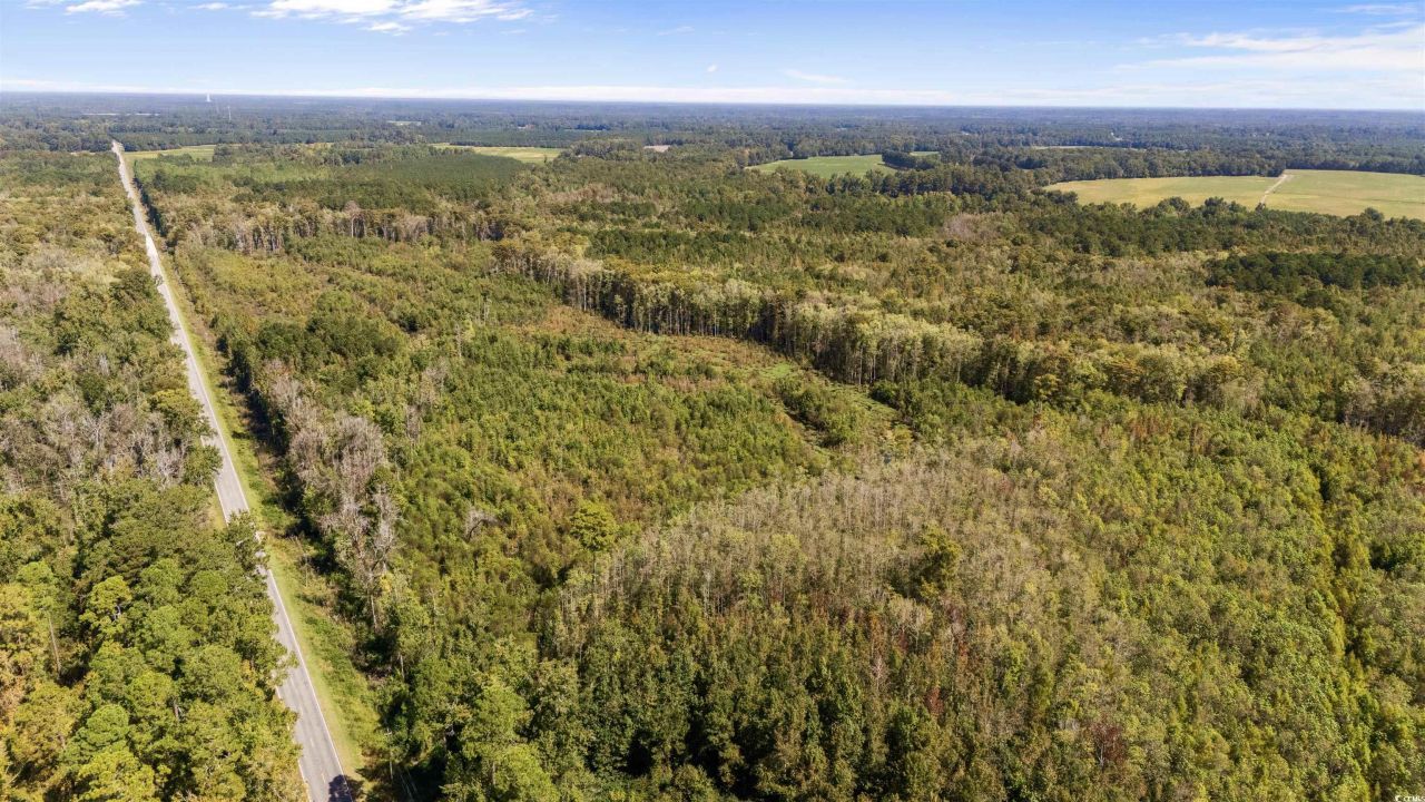 000 Schofield Pl. Photo 8