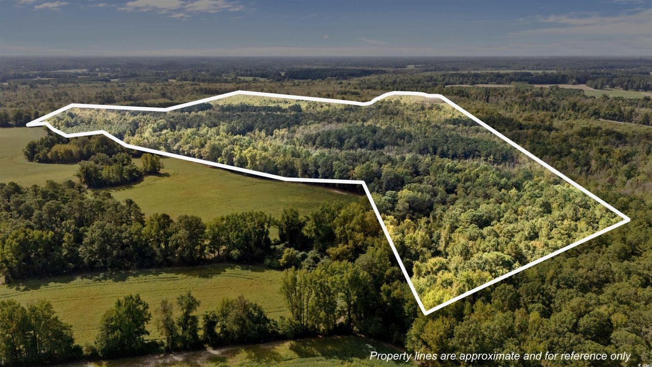 000 Schofield Pl. Photo 9