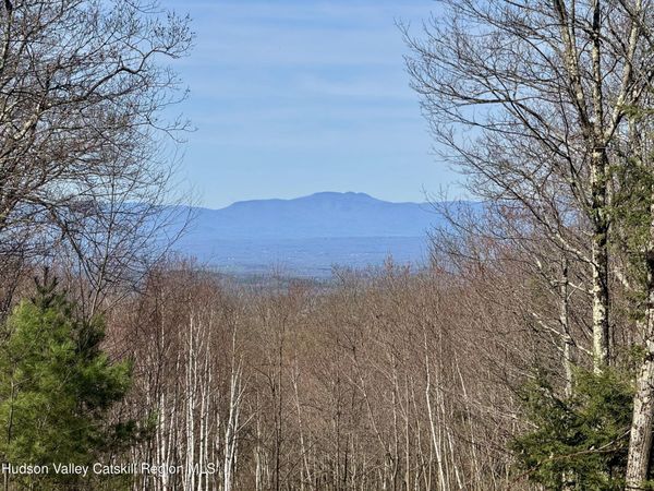 O Mercer Mountain Road, Canaan, NY 12029