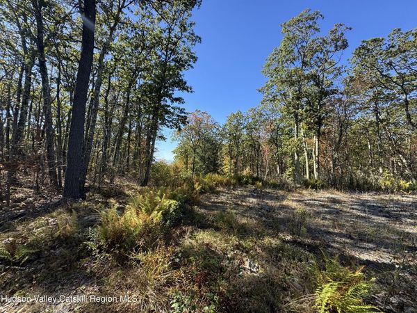 O Mercer Mountain Road, Canaan, NY 12029