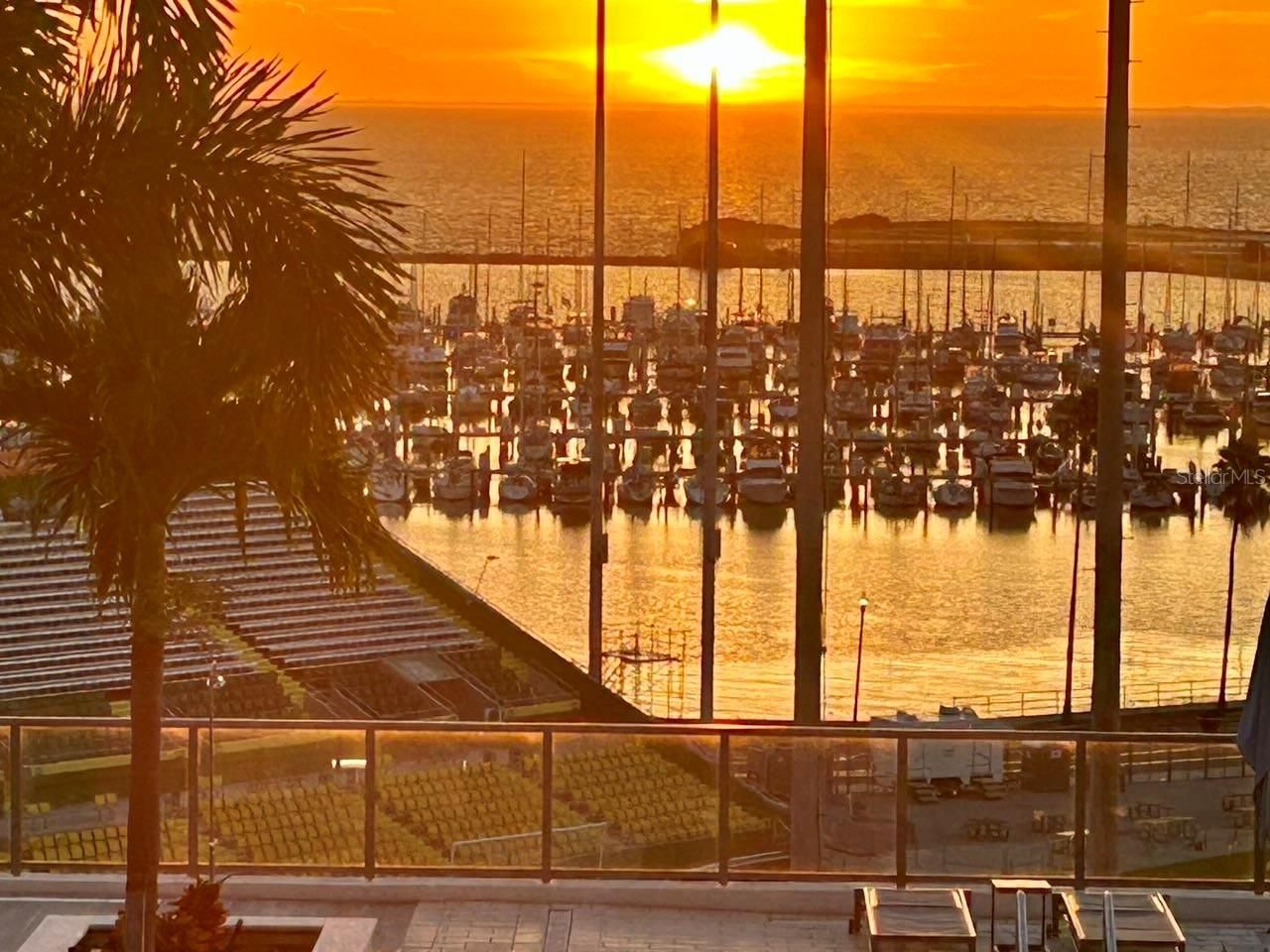 301 1st Street S, Unit 803, Saint Petersburg, FL 33701 Photo