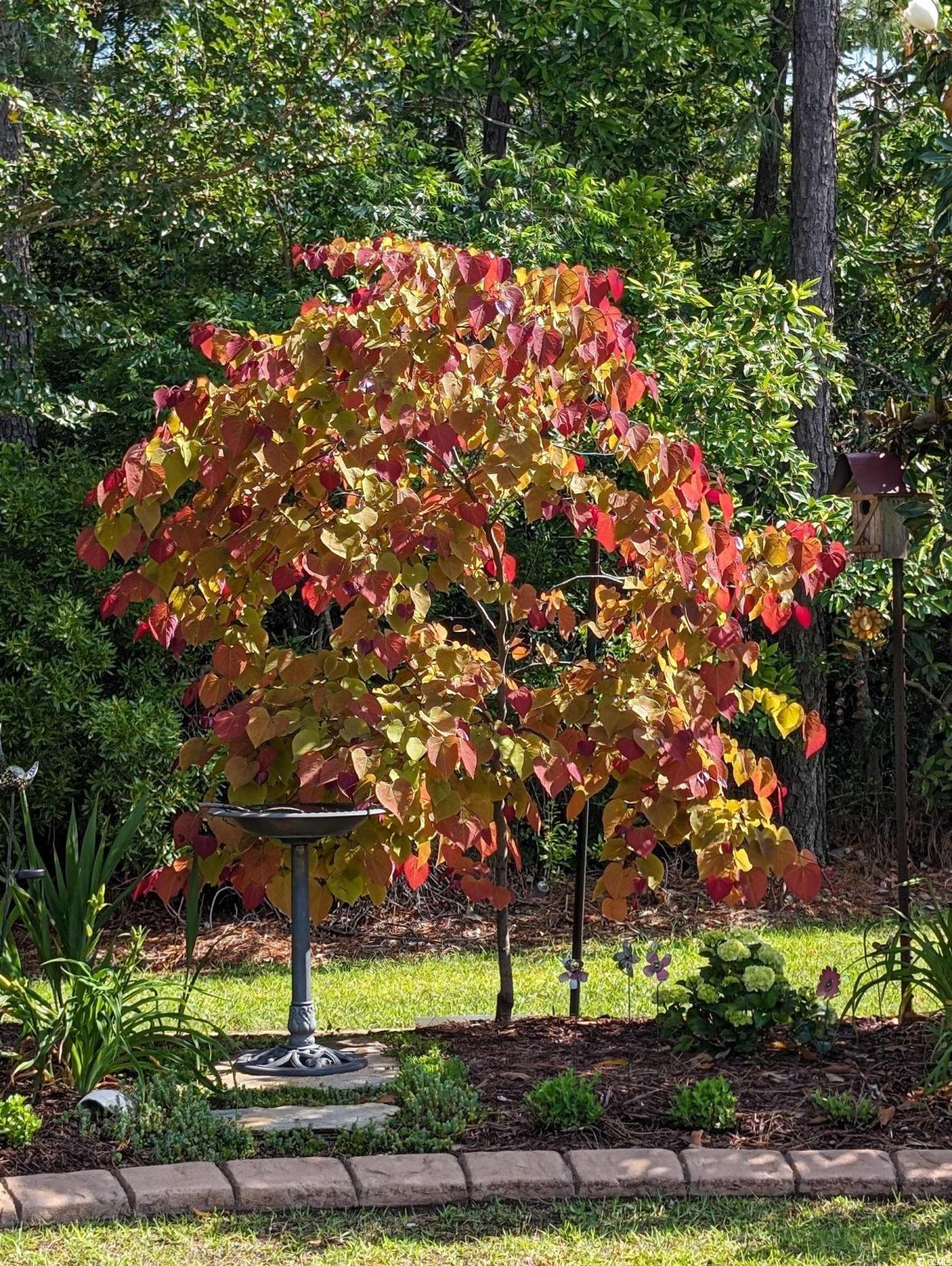 5618 Lombardia Circle Photo 31