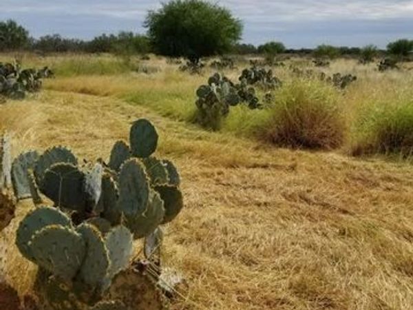 0 HWY-85, Dilley, TX 78017