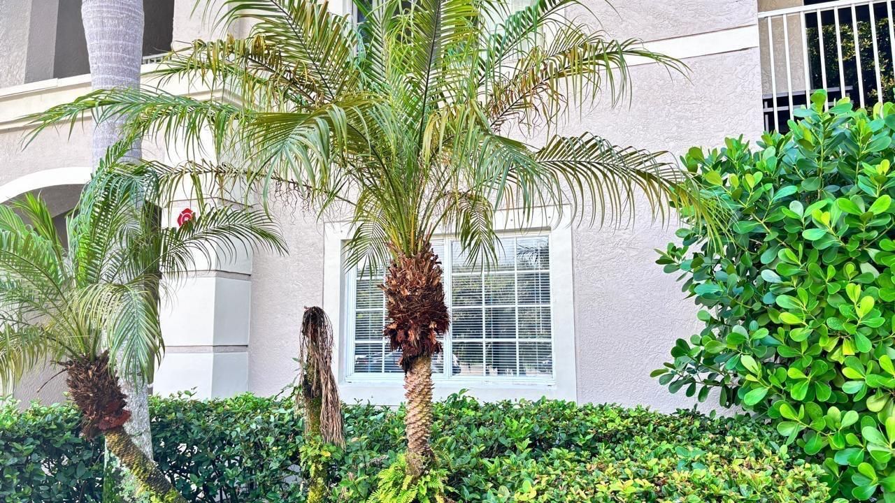 5025 Wiles Road, Unit 107, Coconut Creek, FL 33073 Photo