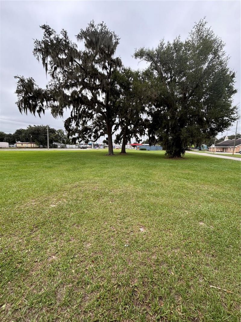 Pine Level Avenue S, Bartow, FL 33830 Photo